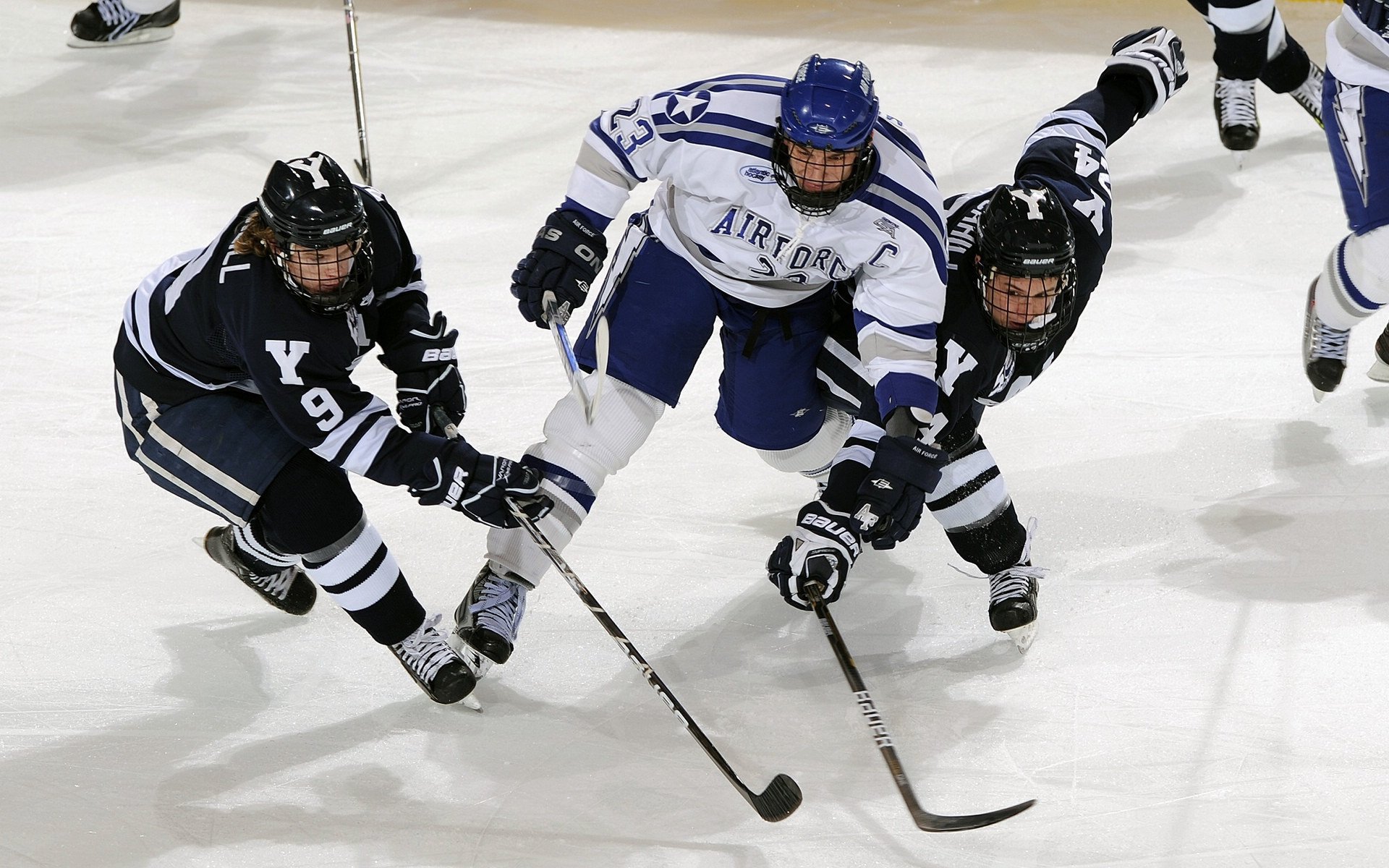 海鹰稳步前行，防守端完美压制对手，this page isn't working海鹰